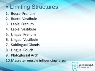  Limiting Structures
1. Buccal Frenum
2. Buccal Vestibule
3. Labial Frenum
4. Labial Vestibule
5. Lingual Frenum
6. Lingual Vestibule
7. Sublingual Glands
8. Lingual Pouch
9. Platoglossal Arch
10.Masseter muscle influencing area
 