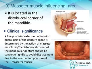 9) Masseter muscle influencing area
It is located in the
distobuccal corner of
the mandible.
 Clinical significancs
The posterior extension of inferior
buccal part of the denture space is
determined by the action of masseter
muscle. so,Thedistobuccal corner of
the mandibular denture should be
converge rapidly to avoid displacement
due to the contraction pressure of
the masseter muscle.
 