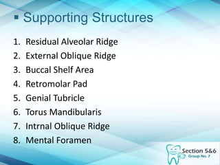  Supporting Structures
1. Residual Alveolar Ridge
2. External Oblique Ridge
3. Buccal Shelf Area
4. Retromolar Pad
5. Genial Tubricle
6. Torus Mandibularis
7. Intrnal Oblique Ridge
8. Mental Foramen
 