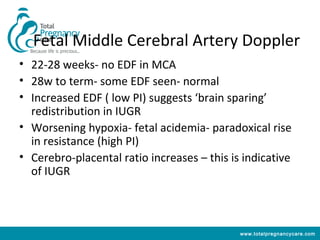 Fetal Middle Cerebral Artery Doppler
• 22-28 weeks- no EDF in MCA
• 28w to term- some EDF seen- normal
• Increased EDF ( low PI) suggests ‘brain sparing’
  redistribution in IUGR
• Worsening hypoxia- fetal acidemia- paradoxical rise
  in resistance (high PI)
• Cerebro-placental ratio increases – this is indicative
  of IUGR



                                             www.totalpregnancycare.com
 
