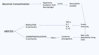 Bacterial Contamination
Hyperemia
Exudative fluid
Macrophages
Neutrophilic
Exudate
2-4 hr
Innate
Immunity
TNF-α
IL-1
IL-6
IL-10
RESOLUTION
of peritonitis
Mast cells
Mesothelial lining
Cells
Cytokines
procagulants
Fibrin
COMPARTMENTALIZATION
of peritonitis
ABSCESS
 