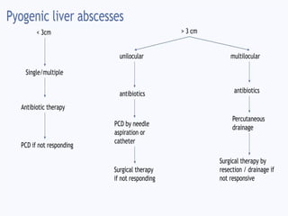 Intra Abdominal Abscess.ppt for of surgery | PPTX