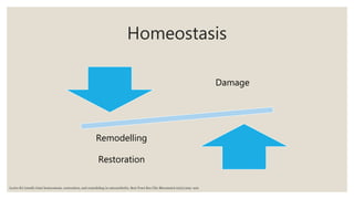 Homeostasis
Damage
Remodelling
Restoration
Lories RJ (2008) Joint homeostasis, restoration, and remodeling in osteoarthritis. Best Pract Res Clin Rheumatol 22(2):209–220
 