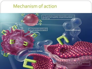 Mechanism of action
 