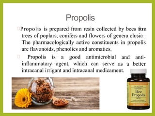 Propolis
Propolis is prepared from resin collected by bees from
trees of poplars, conifers and flowers of genera clusia .
The pharmacologically active constituents in propolis
are flavonoids, phenolics and aromatics.
 Propolis is a good antimicrobial
inflammatory agent, which can serve
and anti-
as a better
intracanal irrigant and intracanal medicament.
 