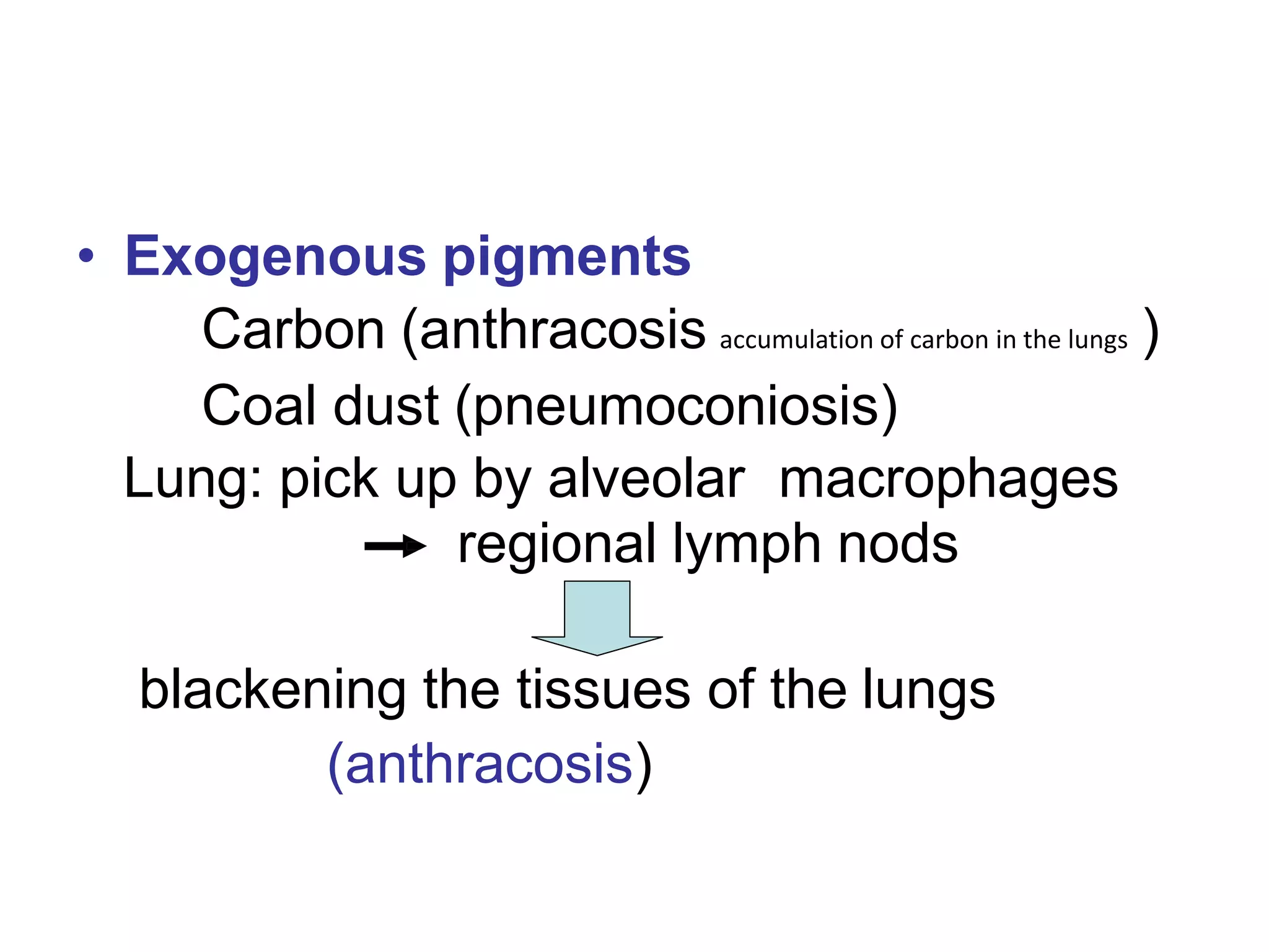 • Exogenous pigments
Carbon (anthracosis accumulation of carbon in the lungs )
Coal dust (pneumoconiosis)
Lung: pick up by alveolar macrophages
regional lymph nods
blackening the tissues of the lungs
(anthracosis)
 
