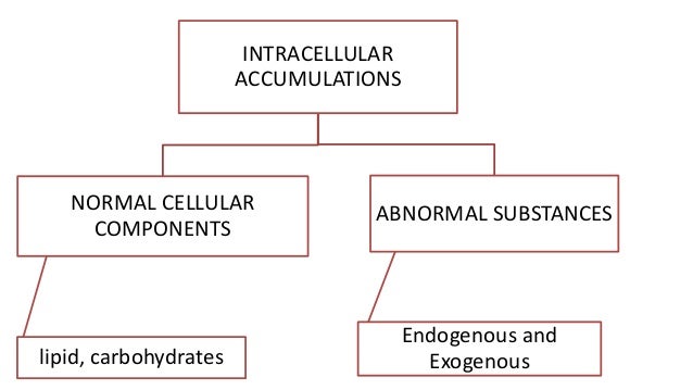 INTRACELLULAR ACCUMULATIONS A SHORT REVIEW
