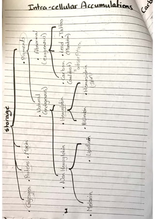 Intracellular accumulations