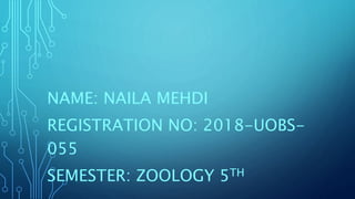 NAME: NAILA MEHDI
REGISTRATION NO: 2018-UOBS-
055
SEMESTER: ZOOLOGY 5TH
 