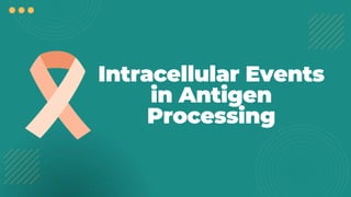 Intracellular Events
in Antigen
Processing
 