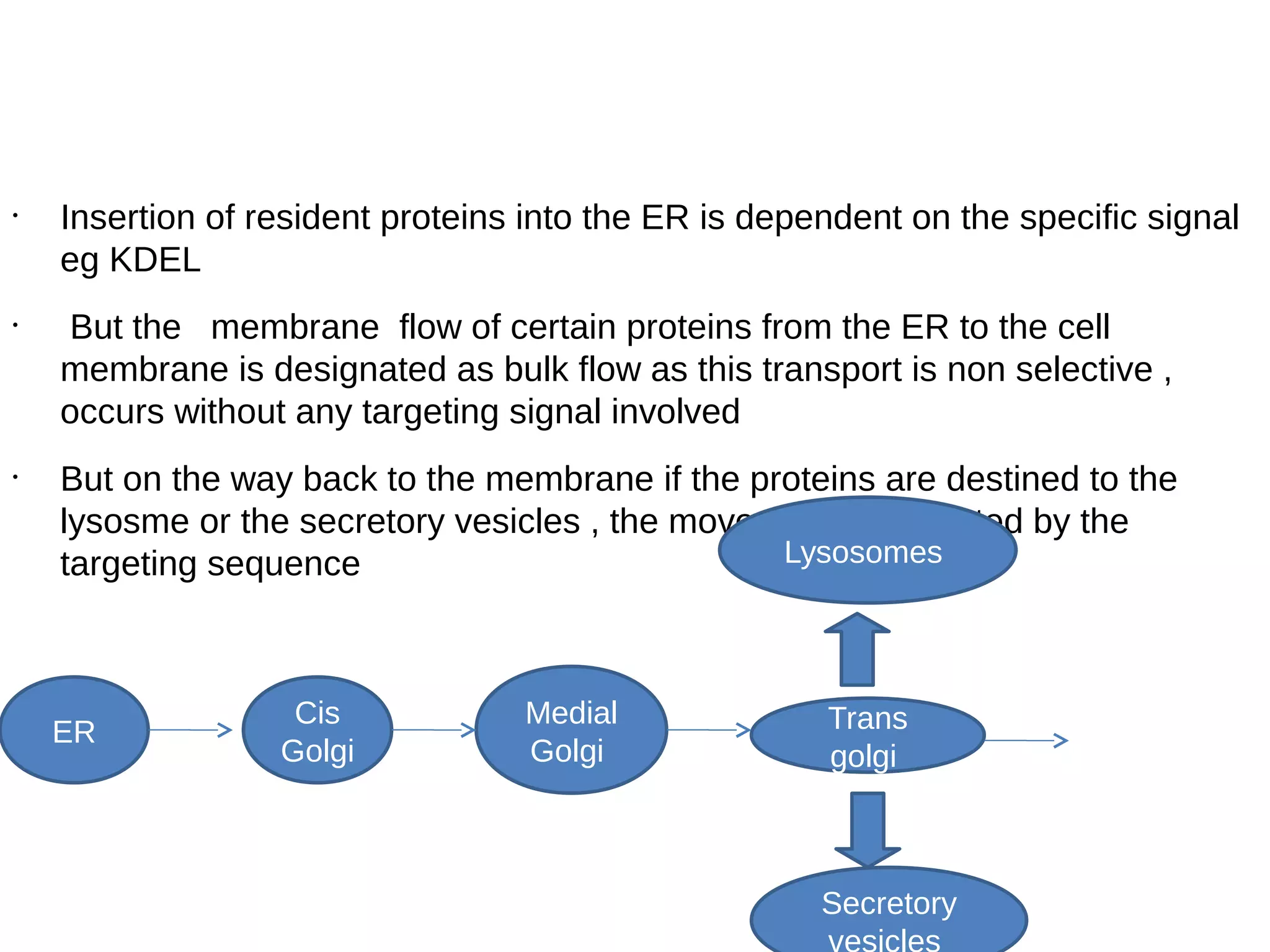 •
Insertion of resident proteins into the ER is dependent on the specific signal
eg KDEL
•
But the membrane flow of certain proteins from the ER to the cell
membrane is designated as bulk flow as this transport is non selective ,
occurs without any targeting signal involved
•
But on the way back to the membrane if the proteins are destined to the
lysosme or the secretory vesicles , the movement is mediated by the
targeting sequence
ER
Cis
Golgi
Medial
Golgi
Trans
golgi
Lysosomes
Secretory
vesicles
 