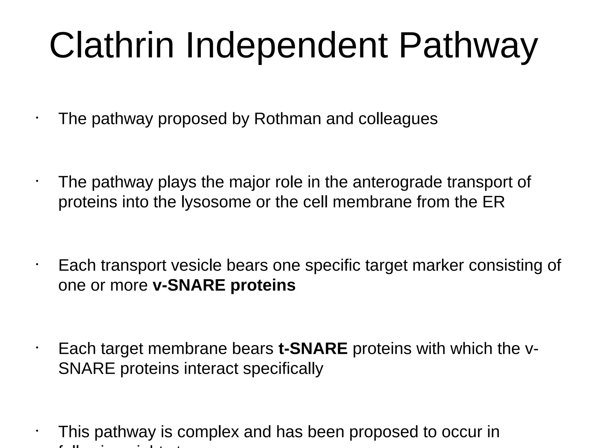 Clathrin Independent Pathway
•
The pathway proposed by Rothman and colleagues
•
The pathway plays the major role in the anterograde transport of
proteins into the lysosome or the cell membrane from the ER
•
Each transport vesicle bears one specific target marker consisting of
one or more v-SNARE proteins
•
Each target membrane bears t-SNARE proteins with which the v-
SNARE proteins interact specifically
•
This pathway is complex and has been proposed to occur in
 
