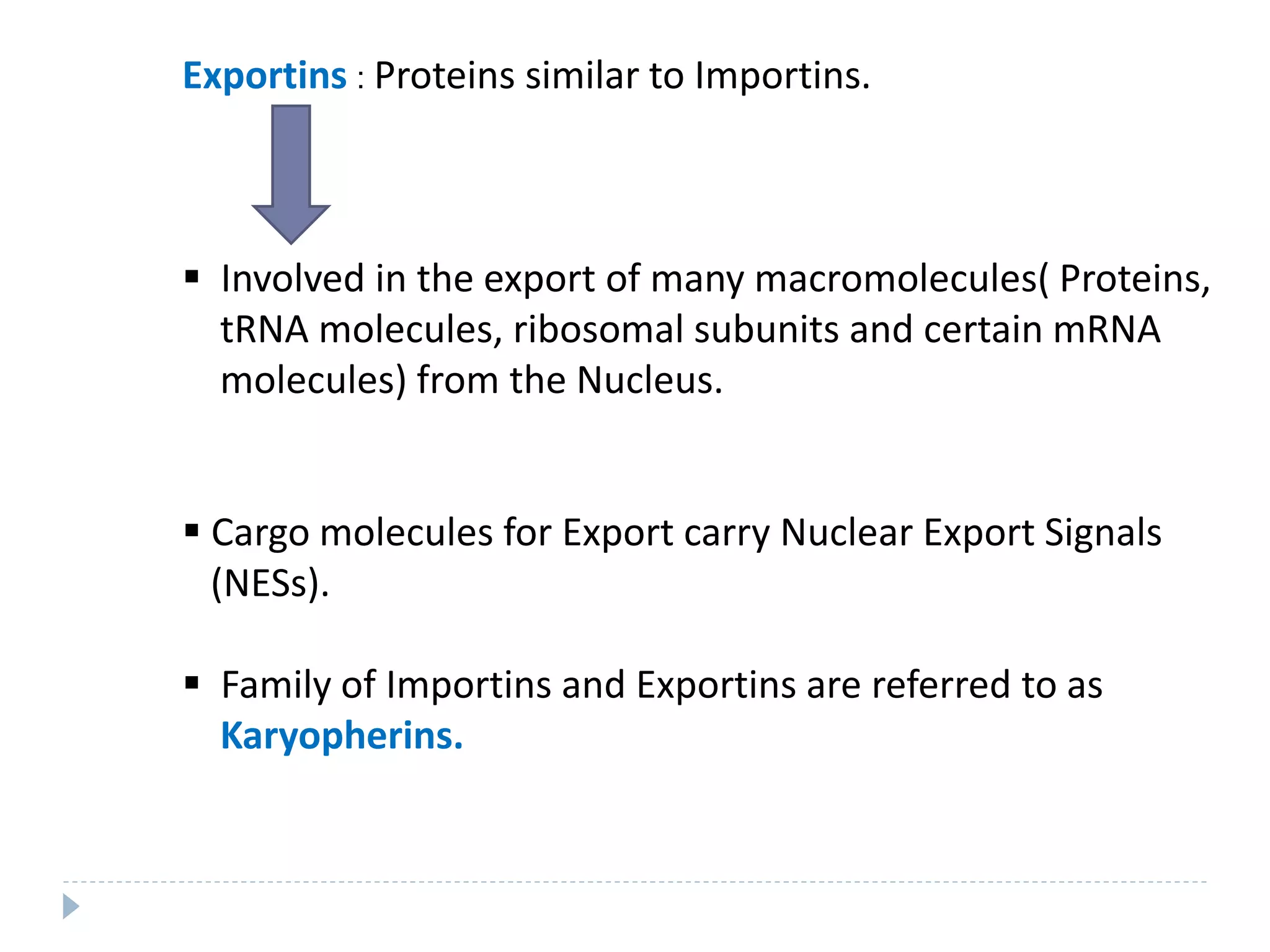 Exportins : Proteins similar to Importins.
 Involved in the export of many macromolecules( Proteins,
tRNA molecules, ribosomal subunits and certain mRNA
molecules) from the Nucleus.
 Cargo molecules for Export carry Nuclear Export Signals
(NESs).
 Family of Importins and Exportins are referred to as
Karyopherins.
 