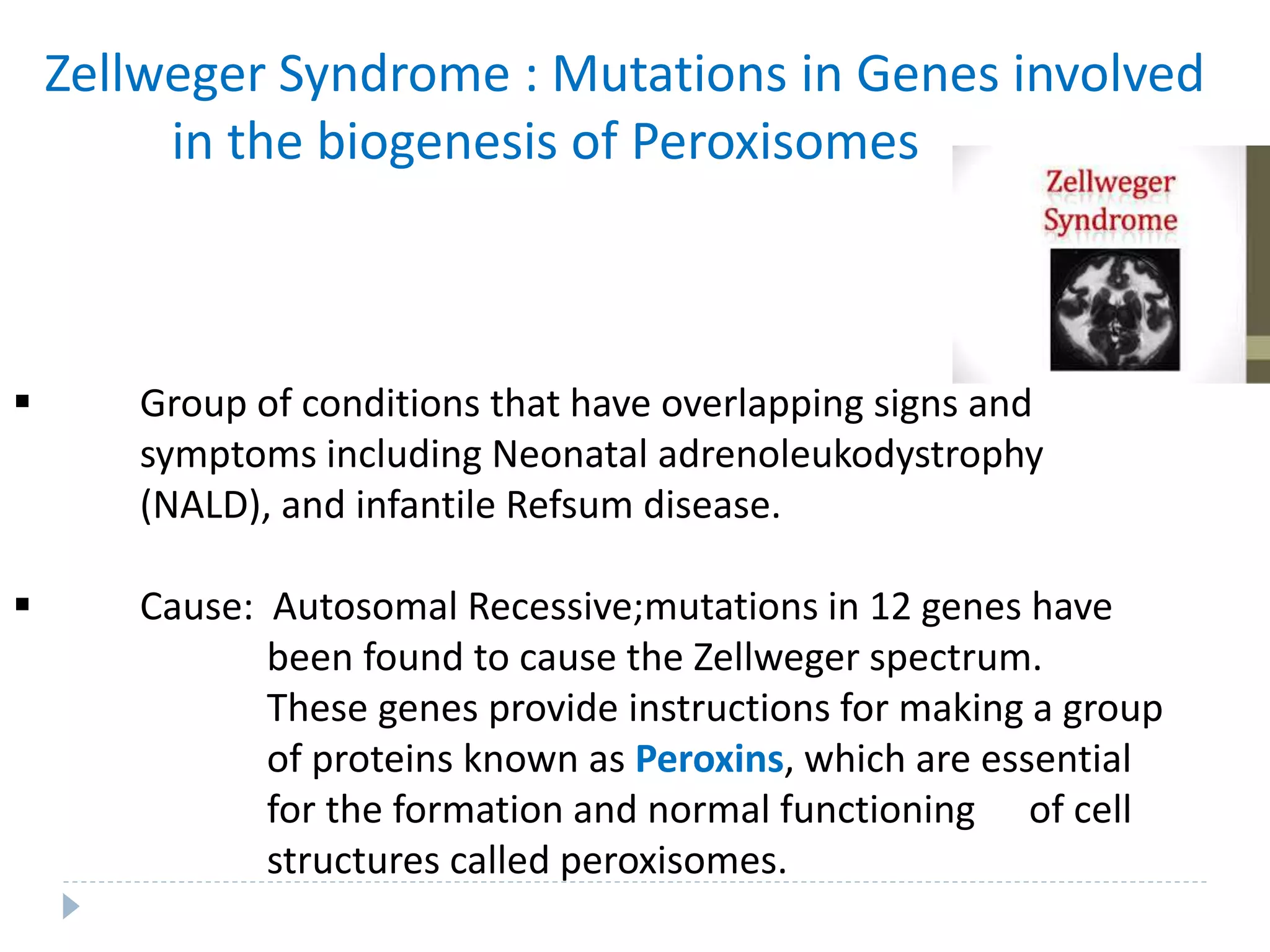 Zellweger Syndrome : Mutations in Genes involved
in the biogenesis of Peroxisomes
 Group of conditions that have overlapping signs and
symptoms including Neonatal adrenoleukodystrophy
(NALD), and infantile Refsum disease.
 Cause: Autosomal Recessive;mutations in 12 genes have
been found to cause the Zellweger spectrum.
These genes provide instructions for making a group
of proteins known as Peroxins, which are essential
for the formation and normal functioning of cell
structures called peroxisomes.
 