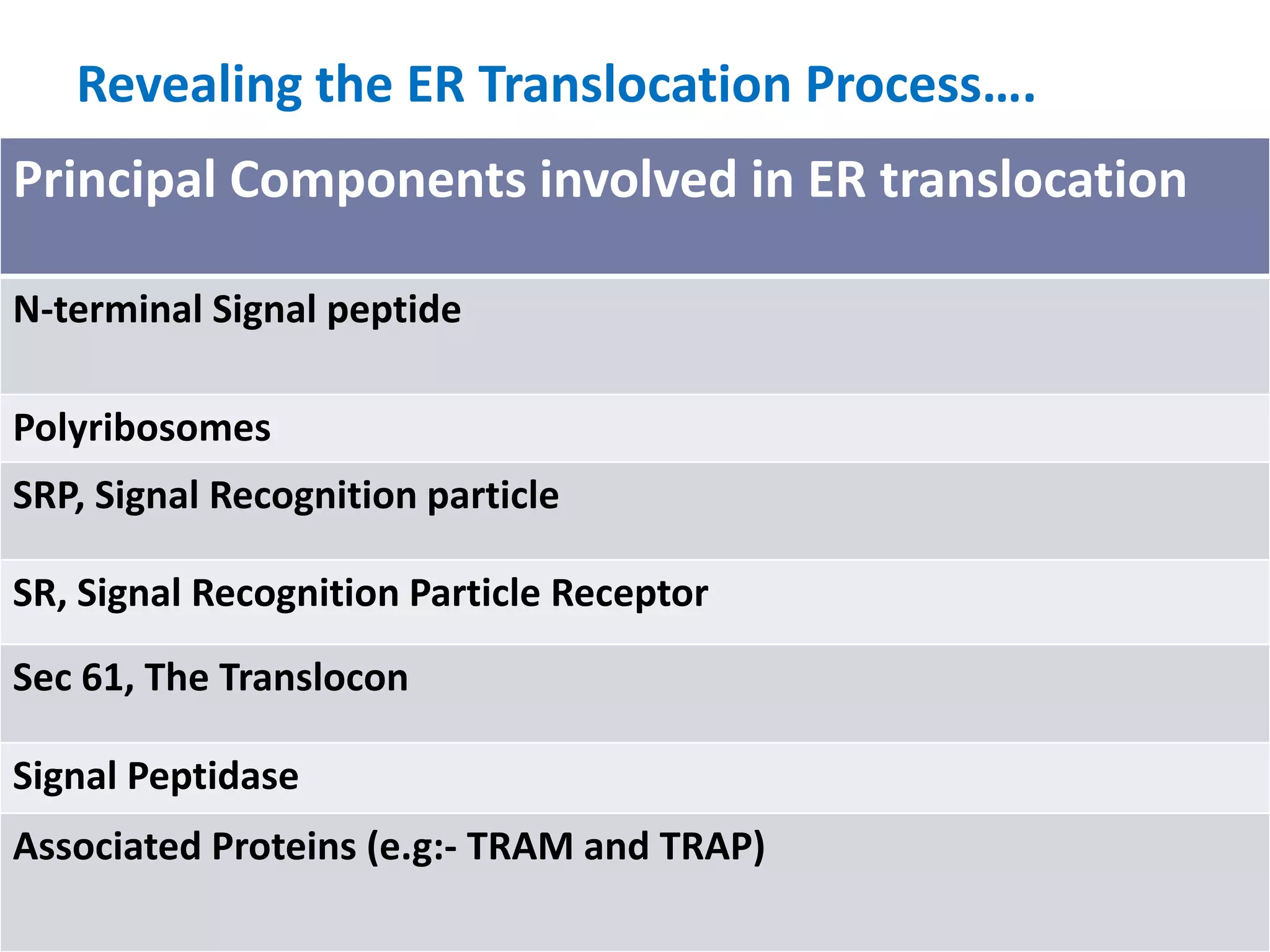 Revealing the ER Translocation Process….
Principal Components involved in ER translocation
N-terminal Signal peptide
Polyribosomes
SRP, Signal Recognition particle
SR, Signal Recognition Particle Receptor
Sec 61, The Translocon
Signal Peptidase
Associated Proteins (e.g:- TRAM and TRAP)
 