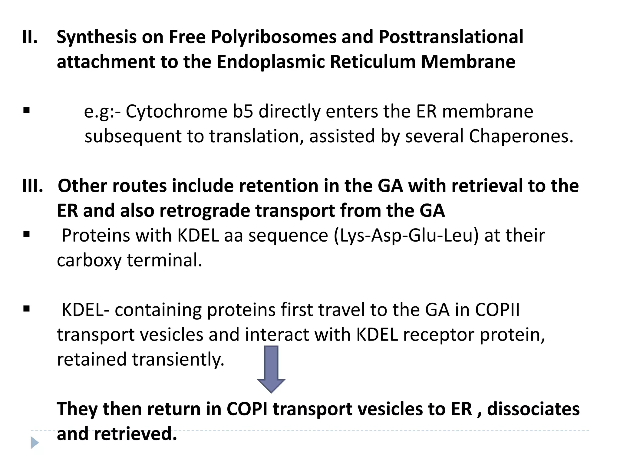II. Synthesis on Free Polyribosomes and Posttranslational
attachment to the Endoplasmic Reticulum Membrane
 e.g:- Cytochrome b5 directly enters the ER membrane
subsequent to translation, assisted by several Chaperones.
III. Other routes include retention in the GA with retrieval to the
ER and also retrograde transport from the GA
 Proteins with KDEL aa sequence (Lys-Asp-Glu-Leu) at their
carboxy terminal.
 KDEL- containing proteins first travel to the GA in COPII
transport vesicles and interact with KDEL receptor protein,
retained transiently.
They then return in COPI transport vesicles to ER , dissociates
and retrieved.
 