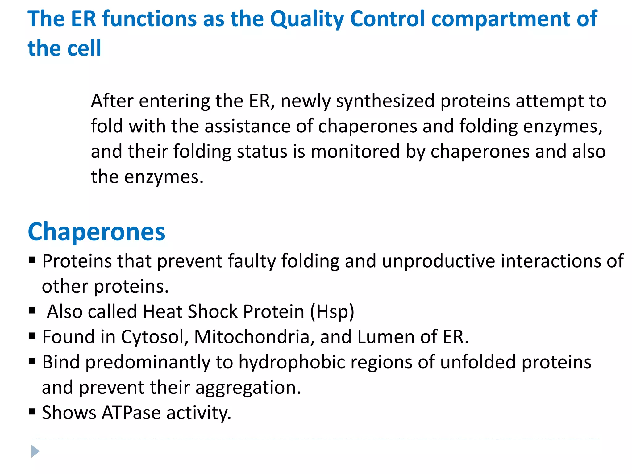 The ER functions as the Quality Control compartment of
the cell
After entering the ER, newly synthesized proteins attempt to
fold with the assistance of chaperones and folding enzymes,
and their folding status is monitored by chaperones and also
the enzymes.
Chaperones
 Proteins that prevent faulty folding and unproductive interactions of
other proteins.
 Also called Heat Shock Protein (Hsp)
 Found in Cytosol, Mitochondria, and Lumen of ER.
 Bind predominantly to hydrophobic regions of unfolded proteins
and prevent their aggregation.
 Shows ATPase activity.
 