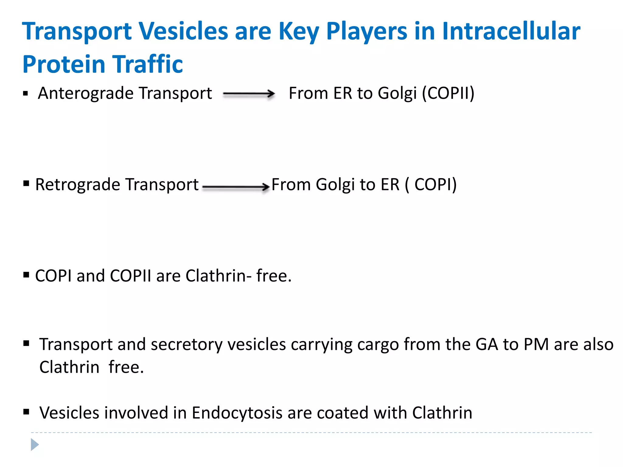 Transport Vesicles are Key Players in Intracellular
Protein Traffic
 Anterograde Transport From ER to Golgi (COPII)
 Retrograde Transport From Golgi to ER ( COPI)
 COPI and COPII are Clathrin- free.
 Transport and secretory vesicles carrying cargo from the GA to PM are also
Clathrin free.
 Vesicles involved in Endocytosis are coated with Clathrin
 