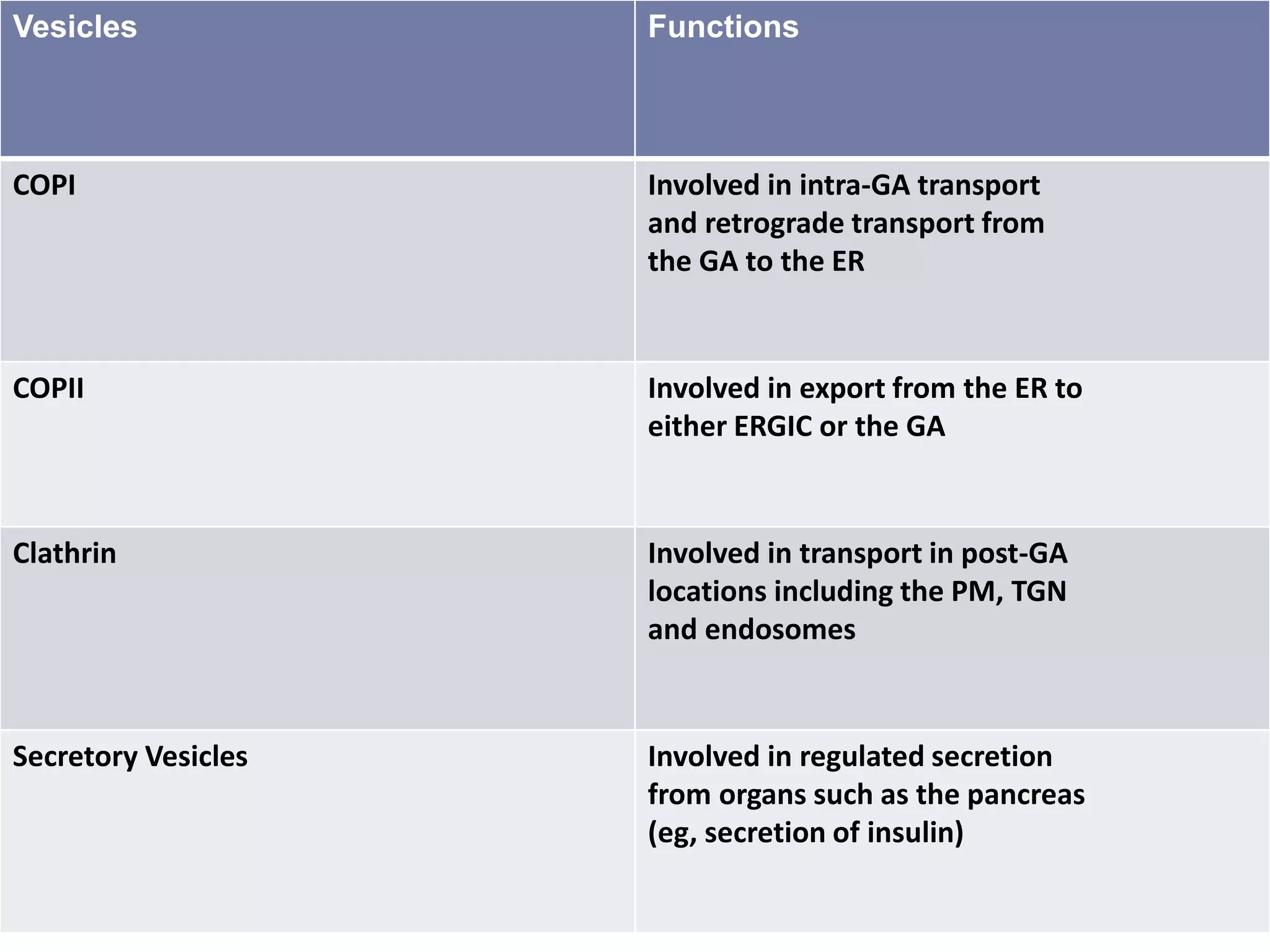 Vesicles Functions
COPI Involved in intra-GA transport
and retrograde transport from
the GA to the ER
COPII Involved in export from the ER to
either ERGIC or the GA
Clathrin Involved in transport in post-GA
locations including the PM, TGN
and endosomes
Secretory Vesicles Involved in regulated secretion
from organs such as the pancreas
(eg, secretion of insulin)
 