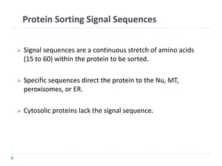 Protein Sorting Signal Sequences
 Signal sequences are a continuous stretch of amino acids
(15 to 60) within the protein to be sorted.
 Specific sequences direct the protein to the Nu, MT,
peroxisomes, or ER.
 Cytosolic proteins lack the signal sequence.
 