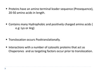  Proteins have an amino terminal leader sequence (Presequence),
20-50 amino acids in length.
 Contains many Hydrophobic and positively charged amino acids (
e.g: Lys or Arg)
 Translocation occurs Posttranslationally.
 Interactions with a number of cytosolic proteins that act as
Chaperones and as targeting factors occur prior to translocation.
 