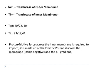  Tom – Translocase of Outer Membrane
 Tim- Translocase of Inner Membrane
 Tom 20/22, 40
 Tim 23/17,44.
 Proton-Motive force across the inner membrane is required to
import ; it is made up of the Electric Potential across the
membrane (inside negative) and the pH gradient.
 