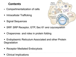 Contents
 Compartmentalization of cells
 Intracellular Trafficking
 Signal Sequences
 SRP. SRP Receptor, GTP, Sec 61 and Glycosylation
 Chaperones and roles in protein folding
 Endoplasmic Reticulum Associated and other Protein
Degradation
 Receptor Mediated Endocytosis
 Clinical Implications
 