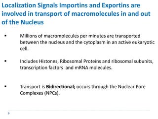 Localization Signals Importins and Exportins are
involved in transport of macromolecules in and out
of the Nucleus
 Millions of macromolecules per minutes are transported
between the nucleus and the cytoplasm in an active eukaryotic
cell.
 Includes Histones, Ribosomal Proteins and ribosomal subunits,
transcription factors and mRNA molecules.
 Transport is Bidirectional; occurs through the Nuclear Pore
Complexes (NPCs).
 