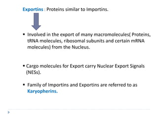 Exportins : Proteins similar to Importins.
 Involved in the export of many macromolecules( Proteins,
tRNA molecules, ribosomal subunits and certain mRNA
molecules) from the Nucleus.
 Cargo molecules for Export carry Nuclear Export Signals
(NESs).
 Family of Importins and Exportins are referred to as
Karyopherins.
 