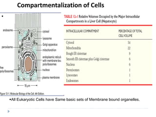 Compartmentalization of Cells

All Eukaryotic Cells have Same basic sets of Membrane bound organelles.
 
