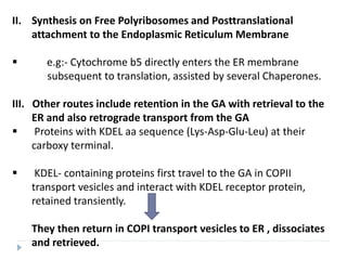 II. Synthesis on Free Polyribosomes and Posttranslational
attachment to the Endoplasmic Reticulum Membrane
 e.g:- Cytochrome b5 directly enters the ER membrane
subsequent to translation, assisted by several Chaperones.
III. Other routes include retention in the GA with retrieval to the
ER and also retrograde transport from the GA
 Proteins with KDEL aa sequence (Lys-Asp-Glu-Leu) at their
carboxy terminal.
 KDEL- containing proteins first travel to the GA in COPII
transport vesicles and interact with KDEL receptor protein,
retained transiently.
They then return in COPI transport vesicles to ER , dissociates
and retrieved.
 