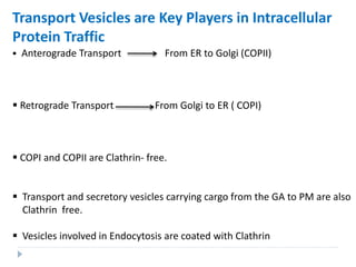 Transport Vesicles are Key Players in Intracellular
Protein Traffic
 Anterograde Transport From ER to Golgi (COPII)
 Retrograde Transport From Golgi to ER ( COPI)
 COPI and COPII are Clathrin- free.
 Transport and secretory vesicles carrying cargo from the GA to PM are also
Clathrin free.
 Vesicles involved in Endocytosis are coated with Clathrin
 