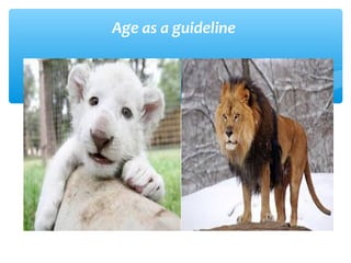 Age as a guideline
 