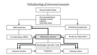 Pathophysiology of intracranial aneurysm
 