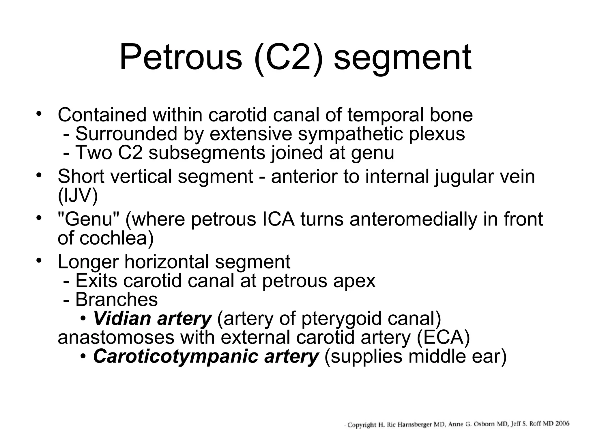 Petrous (C2) segment
• Contained within carotid canal of temporal bone
- Surrounded by extensive sympathetic plexus
- Two C2 subsegments joined at genu
• Short vertical segment - anterior to internal jugular vein
(lJV)
• "Genu" (where petrous ICA turns anteromedially in front
of cochlea)
• Longer horizontal segment
- Exits carotid canal at petrous apex
- Branches
• Vidian artery (artery of pterygoid canal)
anastomoses with external carotid artery (ECA)
• Caroticotympanic artery (supplies middle ear)

 