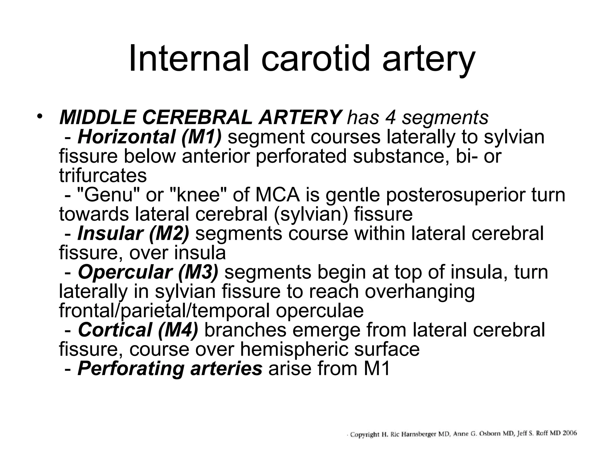 Internal carotid artery
• MIDDLE CEREBRAL ARTERY has 4 segments
- Horizontal (M1) segment courses laterally to sylvian
fissure below anterior perforated substance, bi- or
trifurcates
- "Genu" or "knee" of MCA is gentle posterosuperior turn
towards lateral cerebral (sylvian) fissure
- Insular (M2) segments course within lateral cerebral
fissure, over insula
- Opercular (M3) segments begin at top of insula, turn
laterally in sylvian fissure to reach overhanging
frontal/parietal/temporal operculae
- Cortical (M4) branches emerge from lateral cerebral
fissure, course over hemispheric surface
- Perforating arteries arise from M1

 