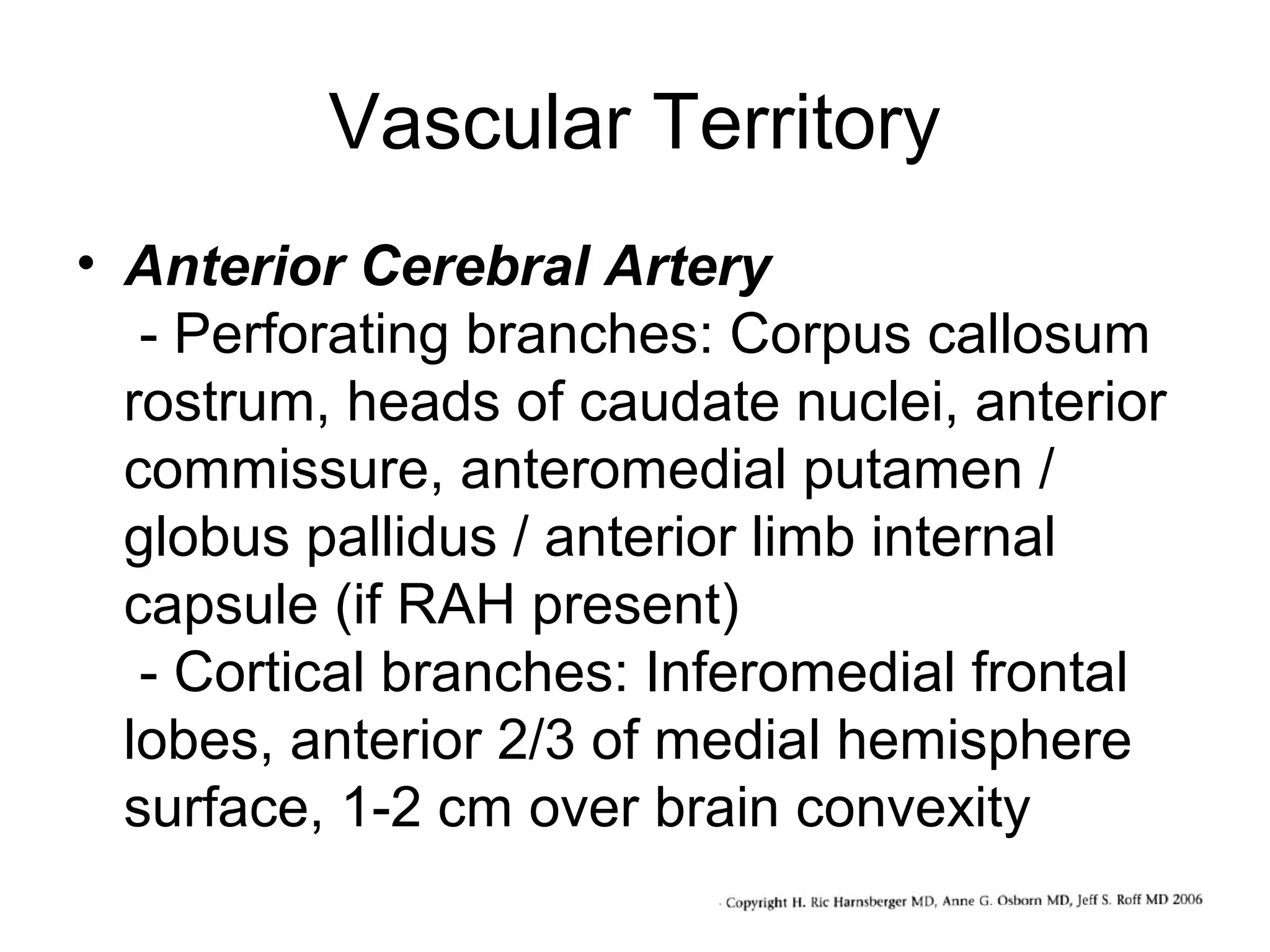 Vascular Territory
• Anterior Cerebral Artery
- Perforating branches: Corpus callosum
rostrum, heads of caudate nuclei, anterior
commissure, anteromedial putamen /
globus pallidus / anterior limb internal
capsule (if RAH present)
- Cortical branches: Inferomedial frontal
lobes, anterior 2/3 of medial hemisphere
surface, 1-2 cm over brain convexity

 
