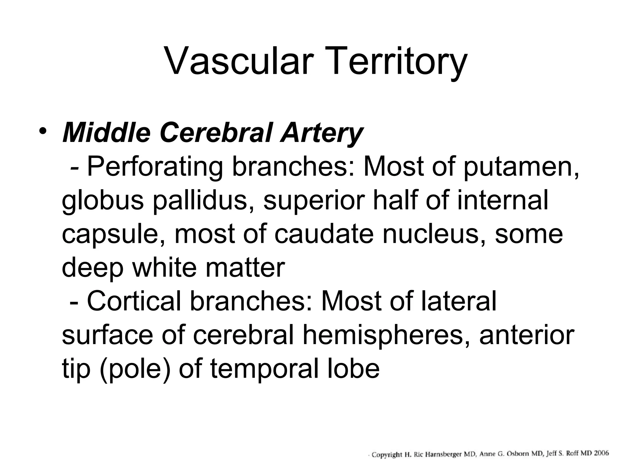 Vascular Territory
• Middle Cerebral Artery
- Perforating branches: Most of putamen,
globus pallidus, superior half of internal
capsule, most of caudate nucleus, some
deep white matter
- Cortical branches: Most of lateral
surface of cerebral hemispheres, anterior
tip (pole) of temporal lobe

 