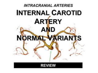 INTRACRANIAL ARTERIES

INTERNAL CAROTID
ARTERY
AND
NORMAL VARIANTS

REVIEW

 