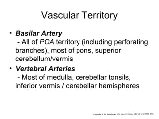 Vascular Territory
• Basilar Artery
- All of PCA territory (including perforating
branches), most of pons, superior
cerebellum/vermis
• Vertebral Arteries
- Most of medulla, cerebellar tonsils,
inferior vermis / cerebellar hemispheres

 