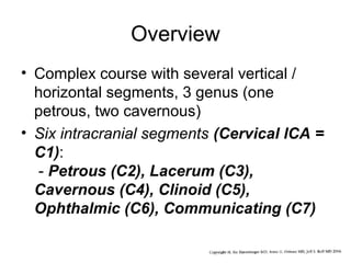 Overview
• Complex course with several vertical /
horizontal segments, 3 genus (one
petrous, two cavernous)
• Six intracranial segments (Cervical lCA =
C1):
- Petrous (C2), Lacerum (C3),
Cavernous (C4), Clinoid (C5),
Ophthalmic (C6), Communicating (C7)

 