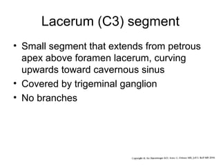 Lacerum (C3) segment
• Small segment that extends from petrous
apex above foramen lacerum, curving
upwards toward cavernous sinus
• Covered by trigeminal ganglion
• No branches

 
