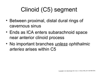 Clinoid (C5) segment
• Between proximal, distal dural rings of
cavernous sinus
• Ends as ICA enters subarachnoid space
near anterior clinoid process
• No important branches unless ophthalmic
arteries arises within C5

 