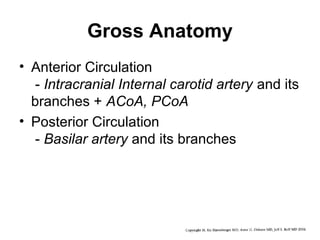 Gross Anatomy
• Anterior Circulation
- Intracranial Internal carotid artery and its
branches + ACoA, PCoA
• Posterior Circulation
- Basilar artery and its branches

 