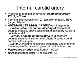 Internal carotid artery
• Proximal to termination gives off ophthalmic artery,
PCoA, AChoA
• Terminal bifurcation into ACA (smaller, medial), MCA
(larger, lateral)
• ANTERIOR CEREBRAL ARTERY has 4 segments
- Horizontal or pre communicating (A1) segment
courses medially above optic chiasm, joined by ACoA to
contralateral A1
- Vertical or postcommunicating (A2) segment
courses superiorly in interhemispheric fissure, around
corpus callosum genu
- Distal (A3) segment courses posteriorly under inferior
free margin of falx cerebri, gives off cortical branches
• Perforating arteries arise from A1, ACoA
• RAH arises from distal A1 or proximal A2

 