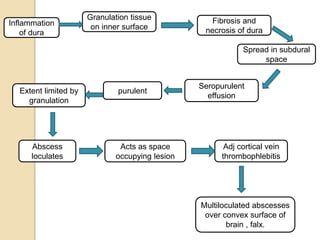 Presentation on intracranial complications of CSOM | PPTX