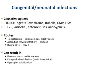Congenital/neonatal infections
 Causative agents-
1. TORCH agents-Toxoplasma, Rubella, CMV, HSV
2. HIV , varicella , enteroviruses and Syphilis
 Routes
 Transplacental – toxoplasmosis, most viruses
 Ascending cervical infections – bacteria
 During birth – HSV II
 Can result in
 Developmental malformations
 Encephaloclastic lesions (brain destruction)
 Dystrophic calcifications
 