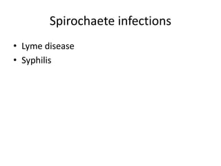 Spirochaete infections
• Lyme disease
• Syphilis
 