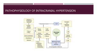 PATHOPHYSIOLOGY OF INTRACRANIAL HYPERTENSION
 