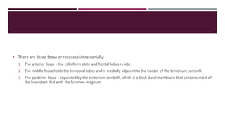  There are three fossa or recesses intracranially:
1. The anterior fossa – the cribriform plate and frontal lobes reside;
2. The middle fossa holds the temporal lobes and is medially adjacent to the border of the tentorium cerebelli.
3. The posterior fossa – separated by the tentorium cerebelli, which is a thick dural membrane that contains most of
the brainstem that exits the foramen magnum.
 